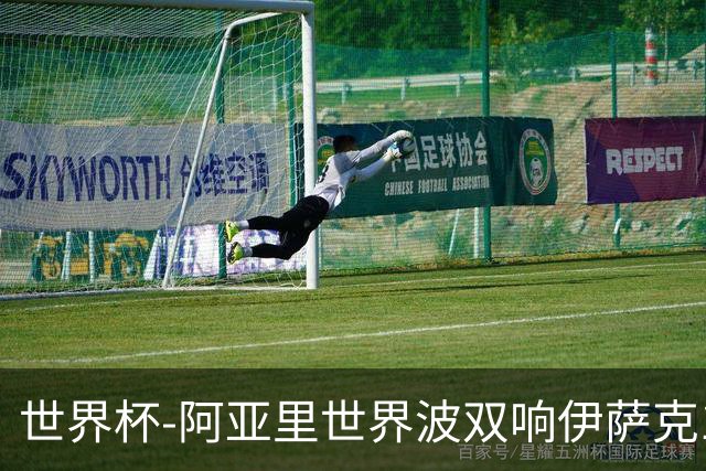 世界杯-阿亚里世界波双响伊萨克1射2传 瑞典5-1突尼斯
